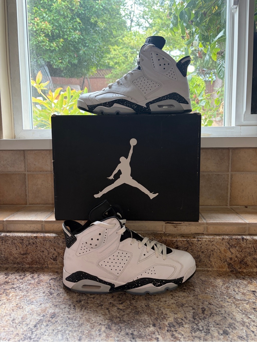 Jordan 6 Reverse Oreo